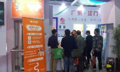 2016中國電商博覽會，江門盈信創展電商獲贊
